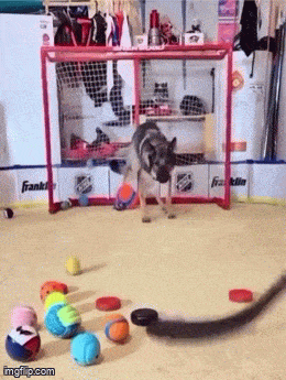 Daily Gifdump Daily Gifdump