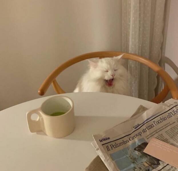Adorable Animal Moments You Have to See