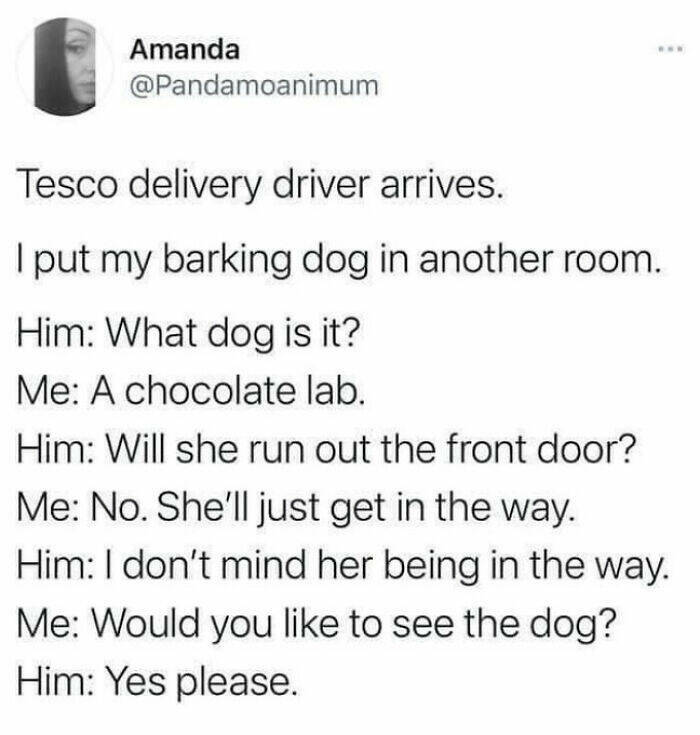 British Humor So Specific It Hurts British Humor So Specific It Hurts