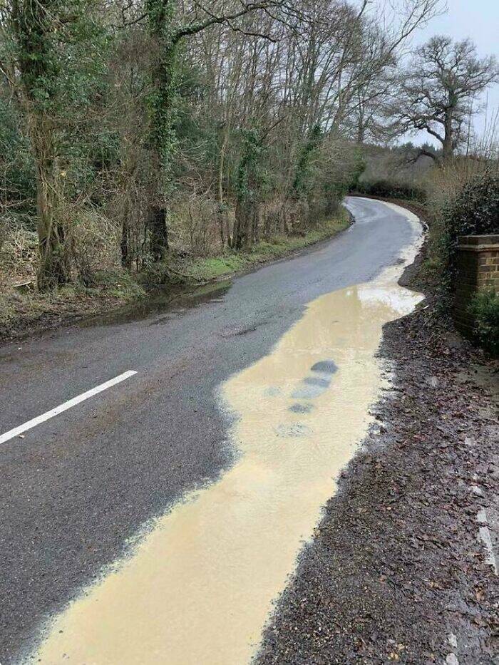 British Humor So Specific It Hurts British Humor So Specific It Hurts