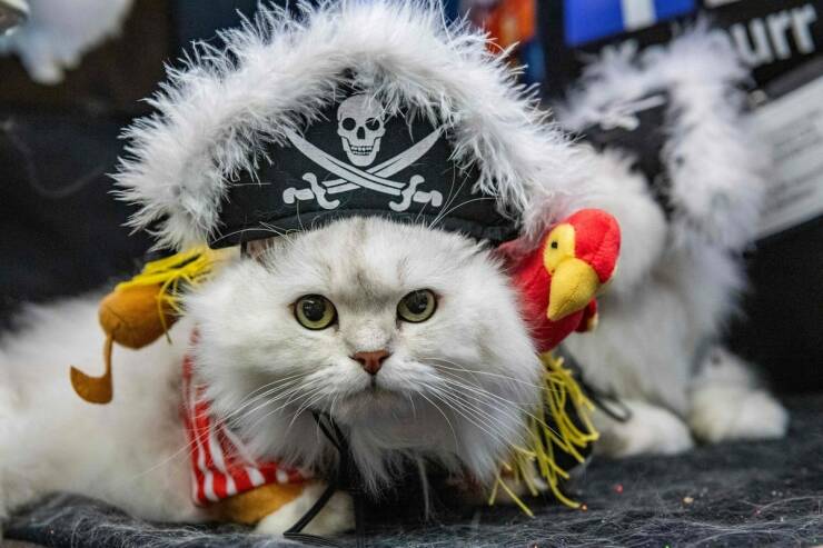 Daily Picdump Daily Picdump