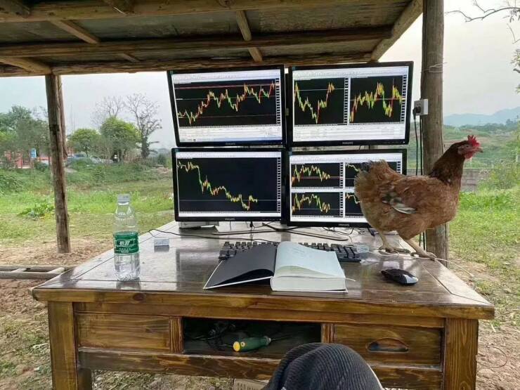 Daily Picdump Daily Picdump