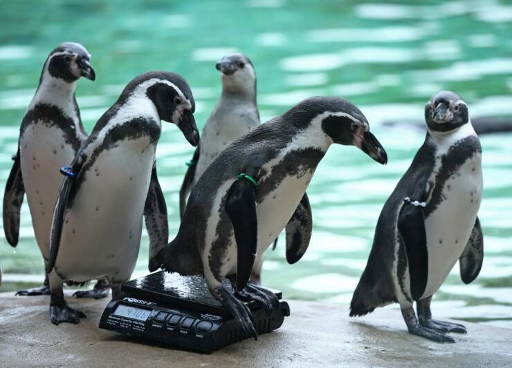 Daily Picdump Daily Picdump