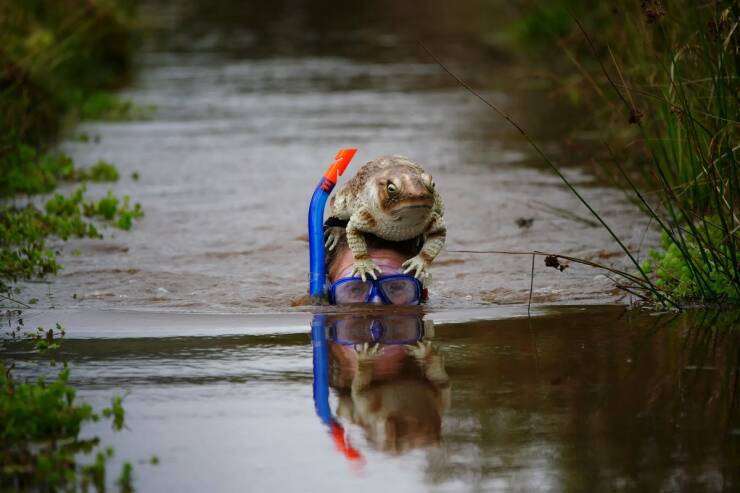 Daily Picdump Daily Picdump