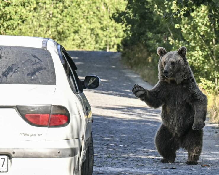 Daily Picdump Daily Picdump