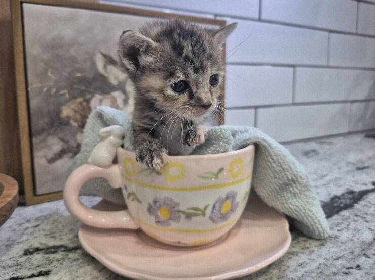 Daily Picdump Daily Picdump