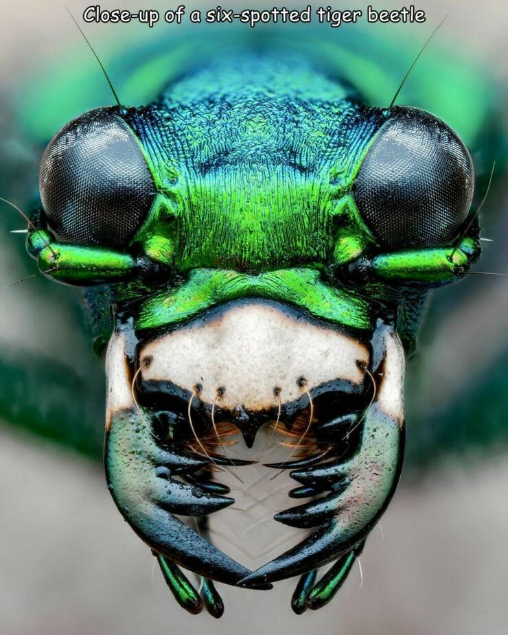 Daily Picdump Daily Picdump