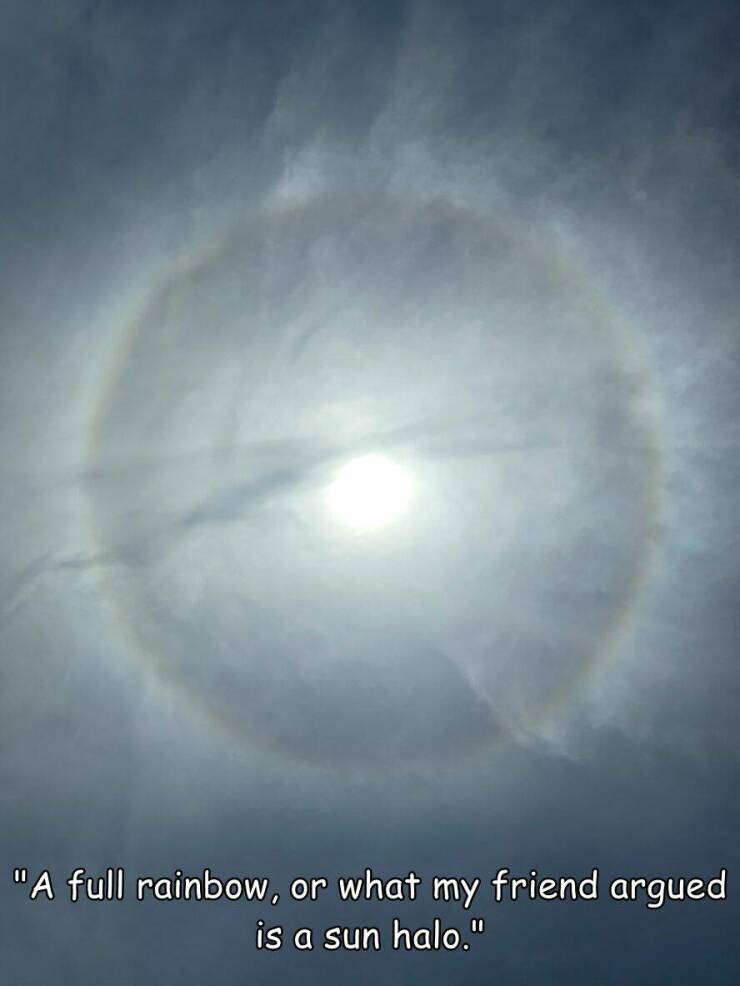 Daily Picdump Daily Picdump