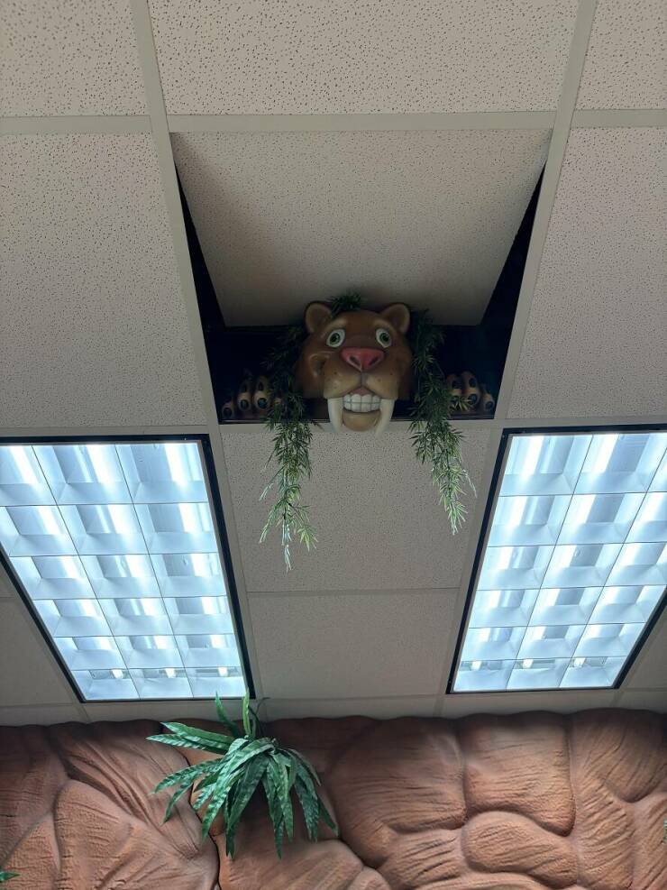 Daily Picdump Daily Picdump