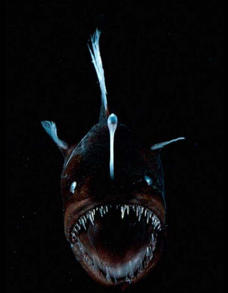 Daily Picdump Daily Picdump