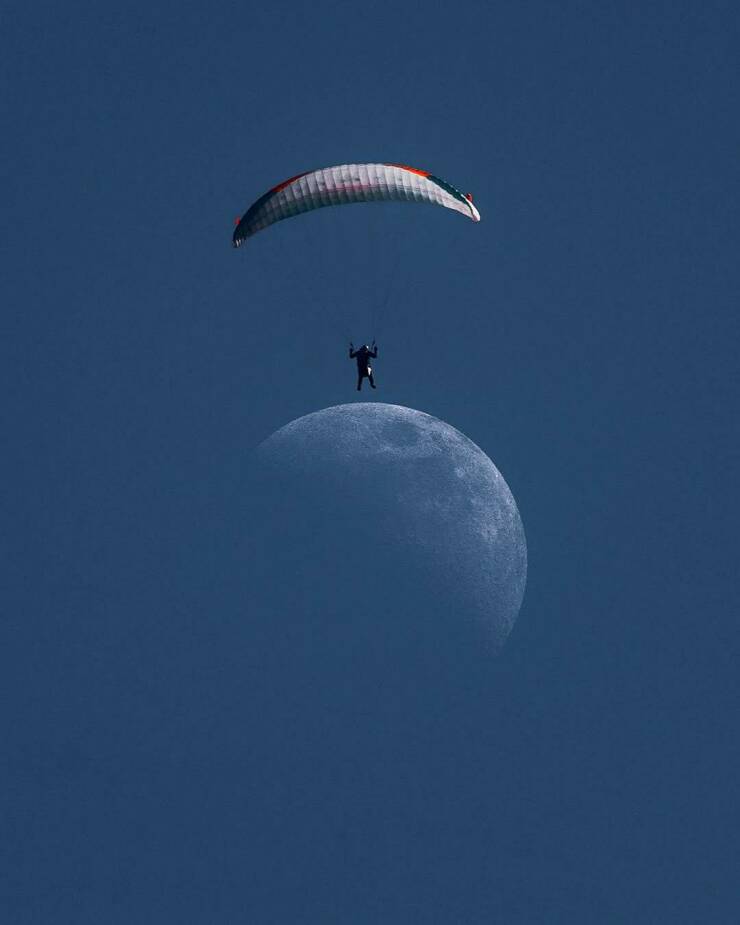 Daily Picdump Daily Picdump