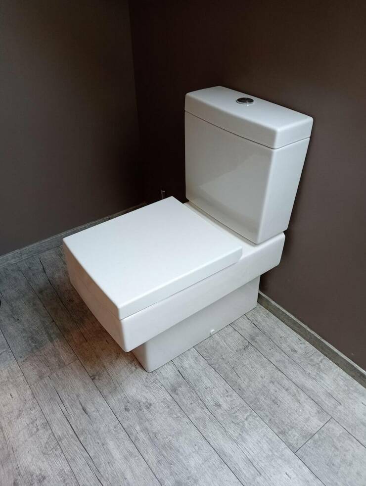 Daily Picdump Daily Picdump