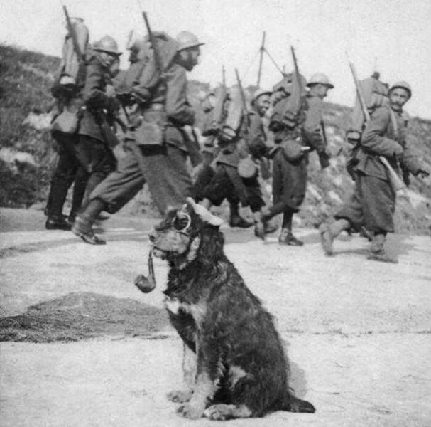 Rare Historical Photos That Textbooks Forgot