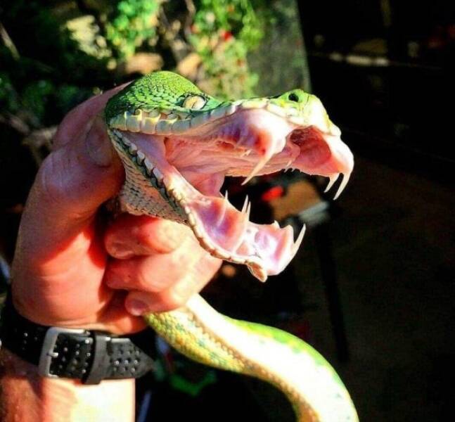 Terrifying Moments That’ll Make You Say Nope