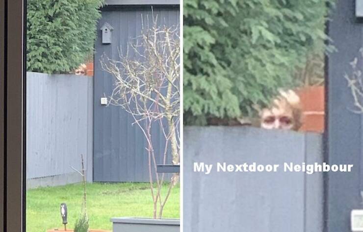 Pictures That Will Make You Say Nope Terrifying Moments That’ll Make You Say 'Nope' (36 PICS) - Izismile.com