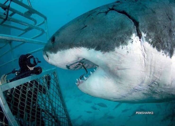 Terrifying Moments That’ll Make You Say Nope
