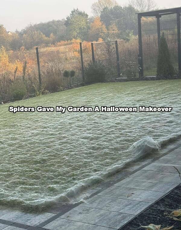 Terrifying Moments That’ll Make You Say Nope