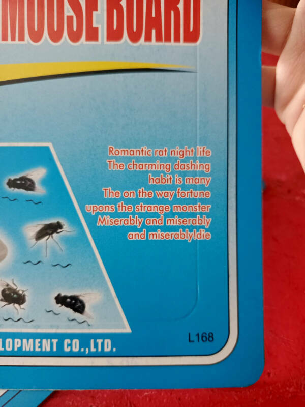 Translation Fails That Speak For Themselves