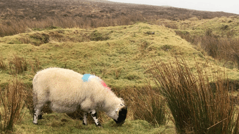 Bucket List Places That Truly Deliver