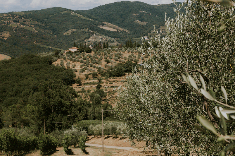 Bucket List Places That Truly Deliver