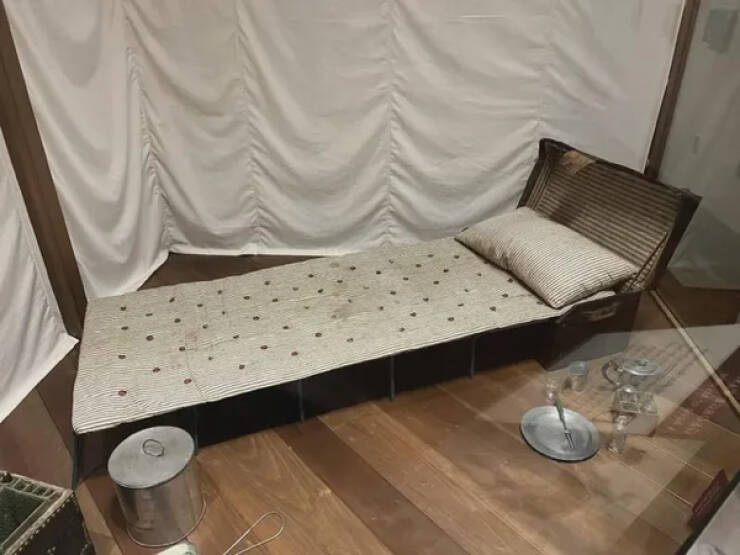 Interesting Pics You Have To See