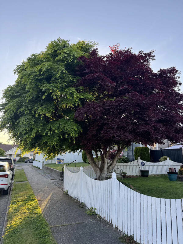 Interesting Pics You Have To See