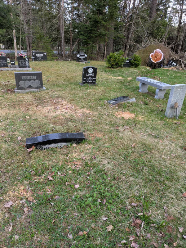 Interesting Pics You Have To See