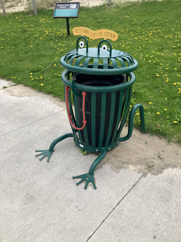 Interesting Pics You Have To See