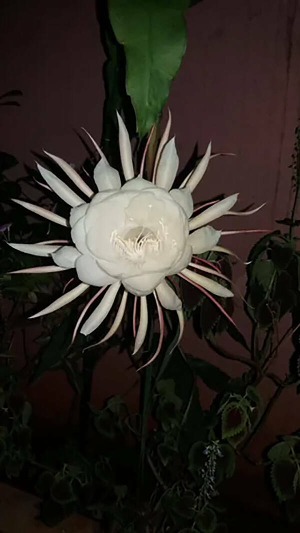 Interesting Pics You Have To See