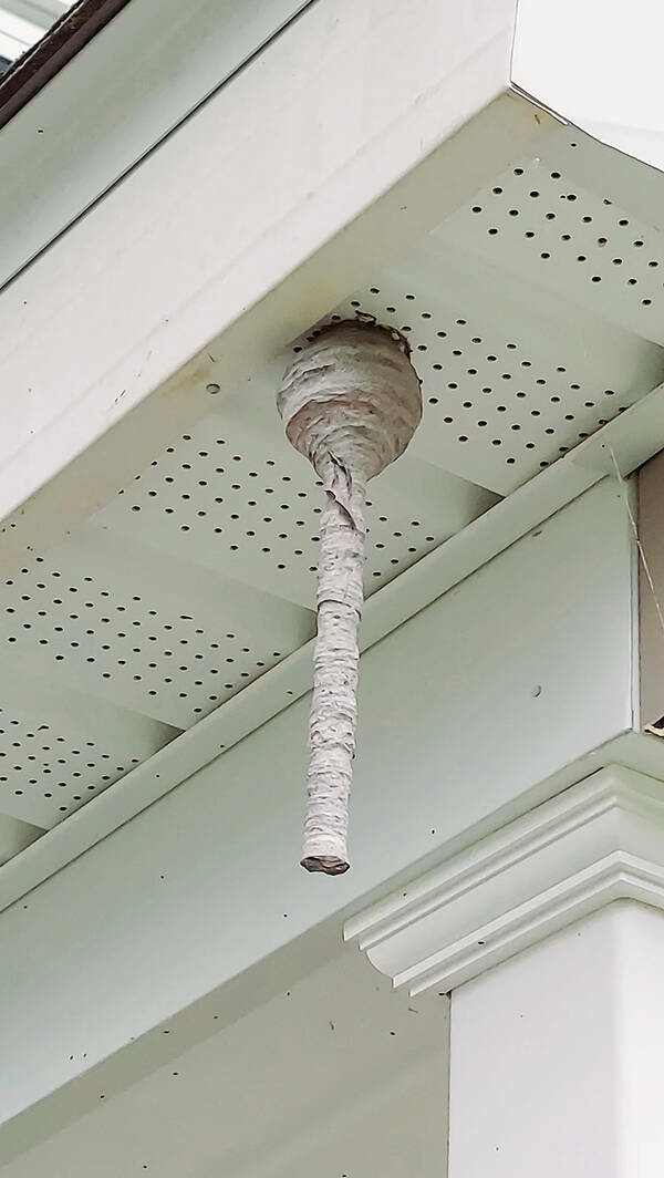 Interesting Pics You Have To See