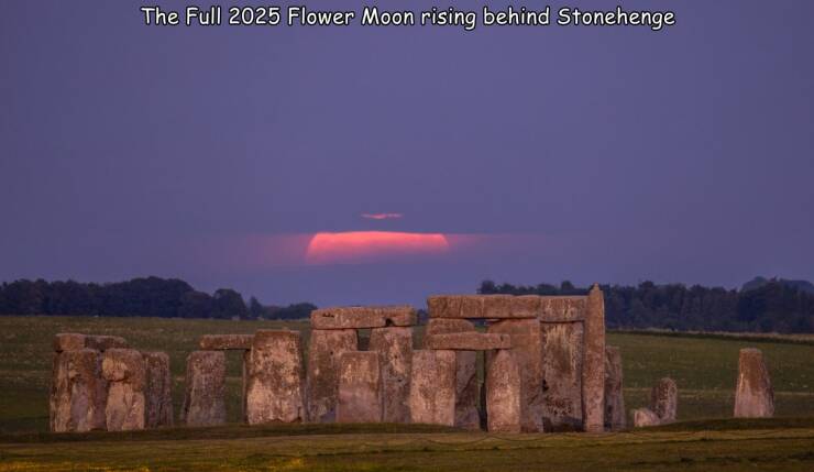 Daily Picdump Daily Picdump