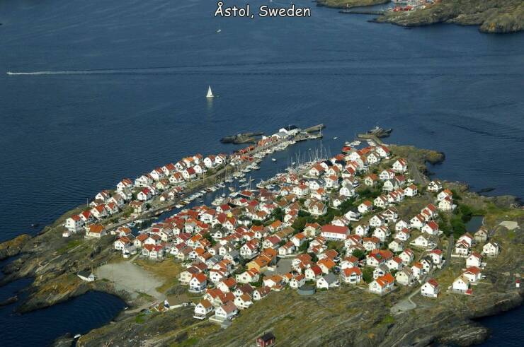 Daily Picdump Daily Picdump