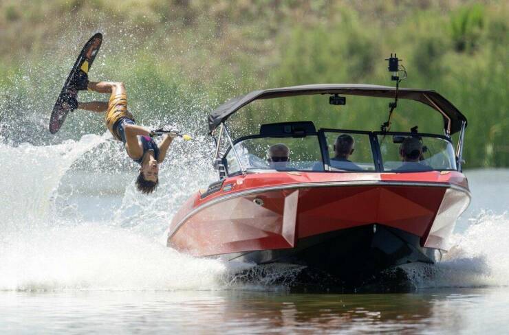 Daily Picdump