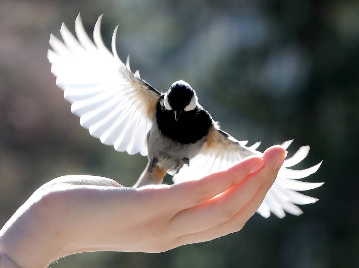 Daily Picdump Daily Picdump