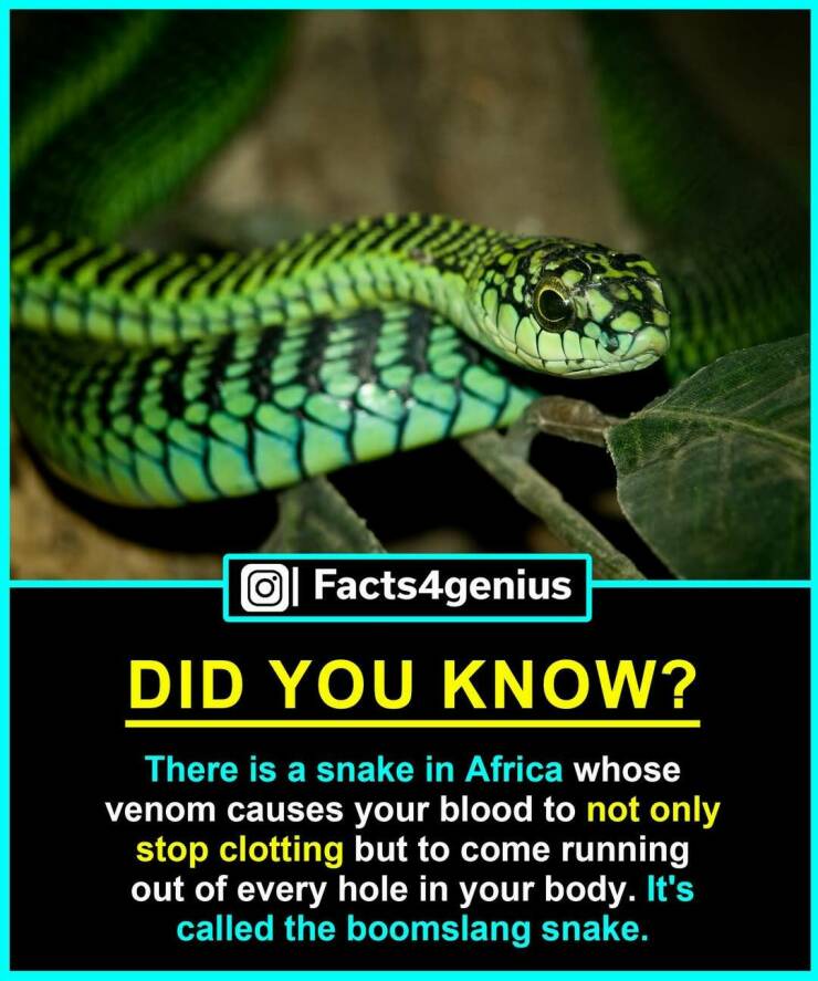 Daily Picdump Daily Picdump