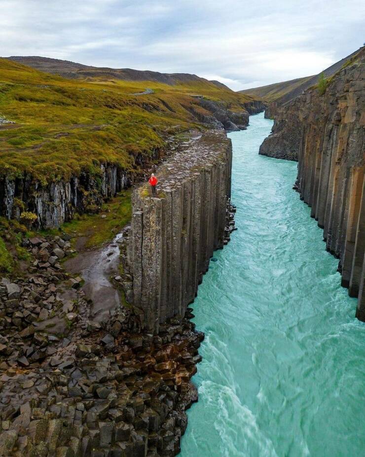 Daily Picdump Daily Picdump