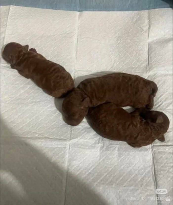 Daily Picdump Daily Picdump