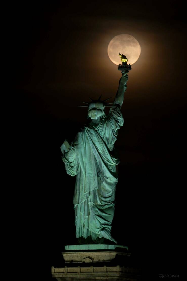 Daily Picdump Daily Picdump