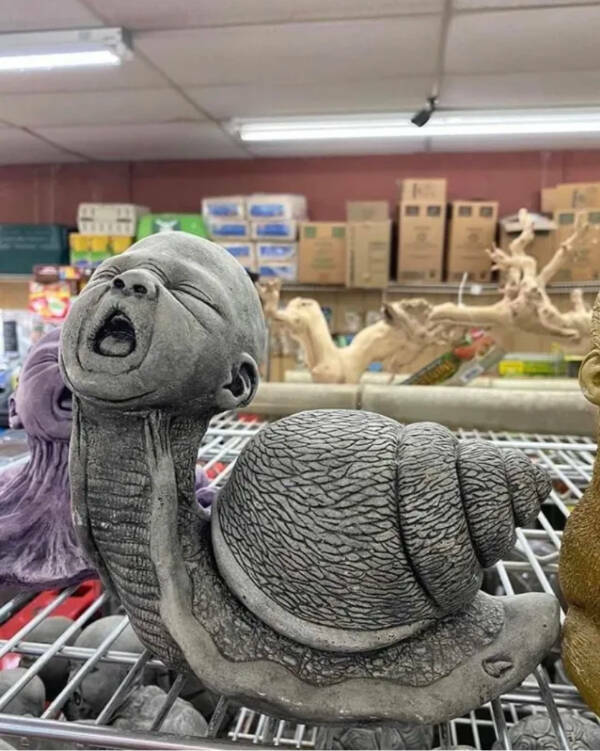 Secondhand, First-Class Personality