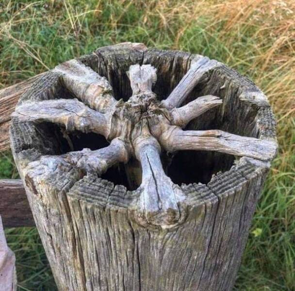 Fascinating Pics That Tell A Story