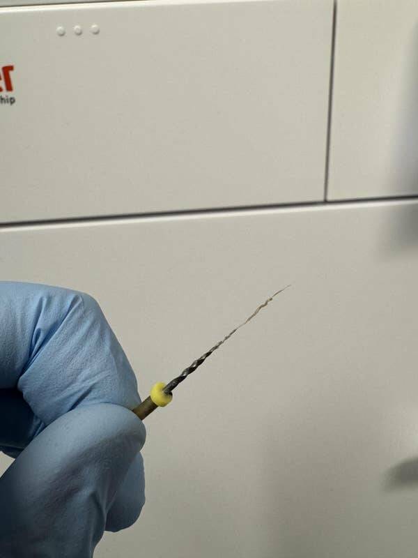 Fascinating Pics That Tell A Story