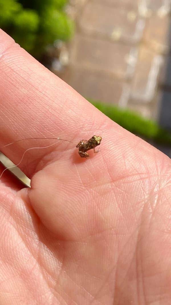 Fascinating Pics That Tell A Story