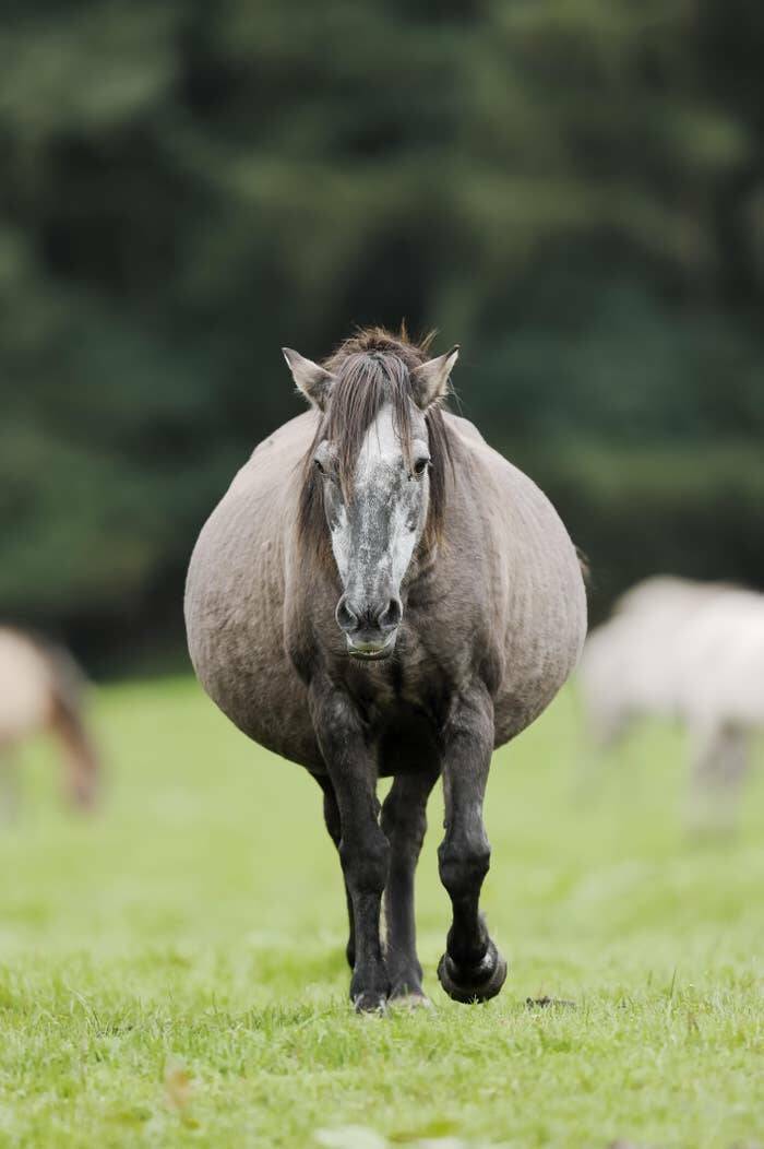 Fascinating Pics That Tell A Story