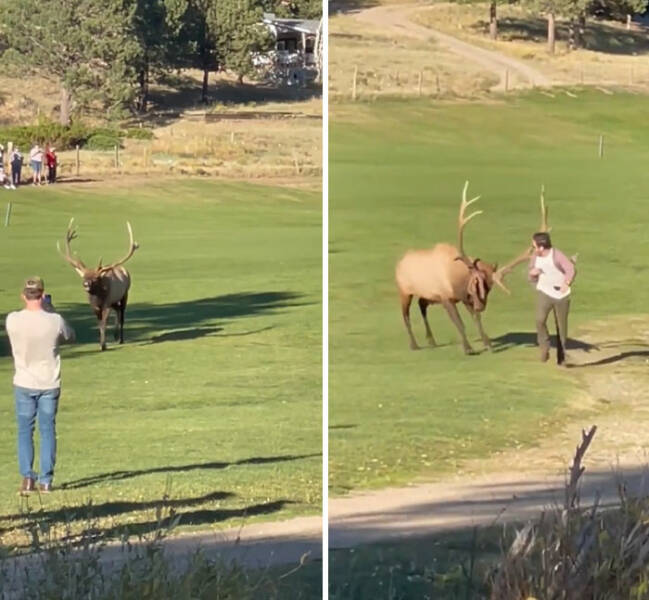 Tourists Behaving Badly: A Gallery of Global Disgrace