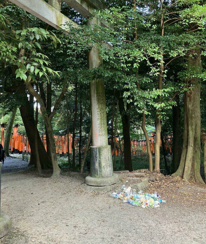 Tourists Behaving Badly: A Gallery of Global Disgrace