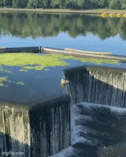 Daily Gifdump Daily Gifdump