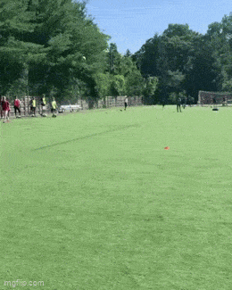 Daily Gifdump Daily Gifdump