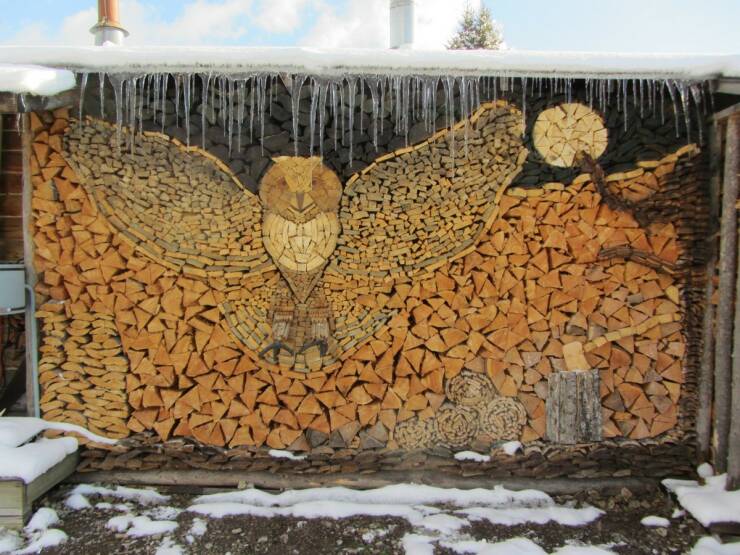 Daily Picdump