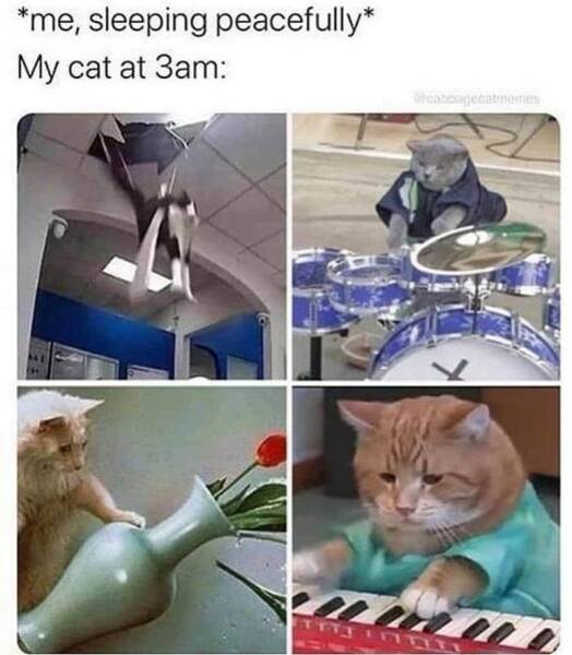 Funny Picdump
