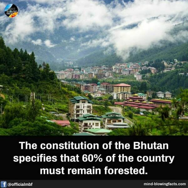 Mind-Blowing Facts You Probably Didn’t Learn In School